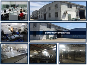 Shanghai Joygoal Food Machinery Co., Ltd.