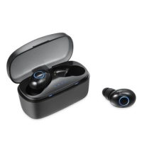 TWS Bluetooth Earbuds