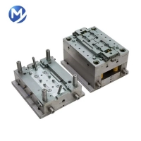 Precision Plastic Injection Mould